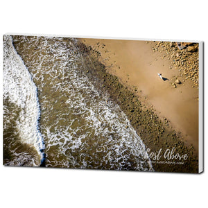 Lone Surfer Miramar Beach - Lost Above